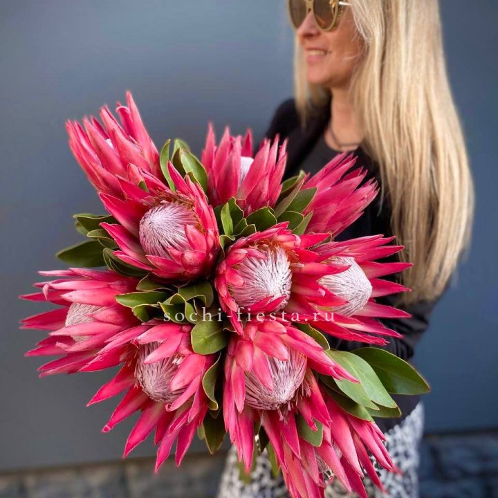 Протея штучно в Бийске