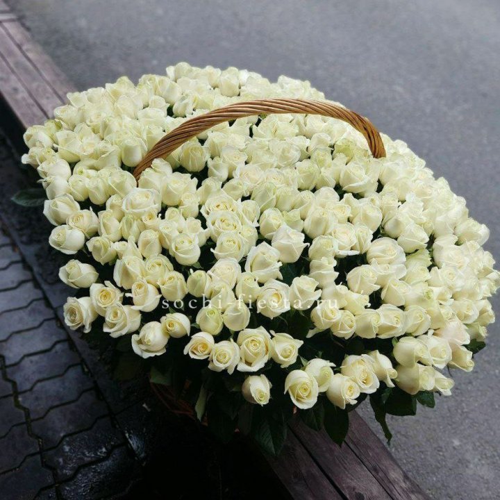 303 розы в корзине в Бийске