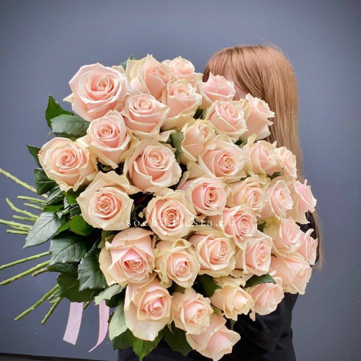35 кремовых высоких роз в Бийске
