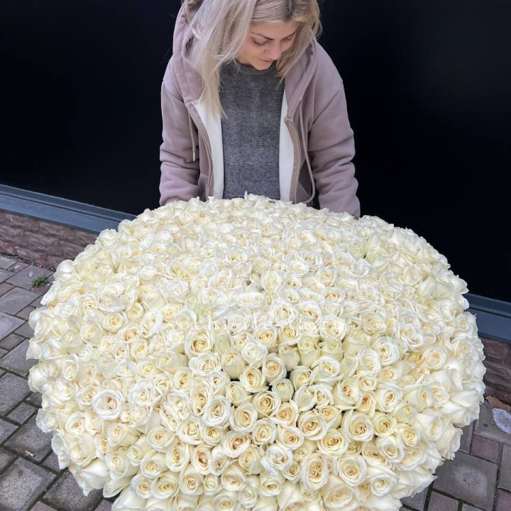 501 белая роза в корзине в Бийске