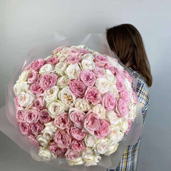 101 роз Охара в Бийске