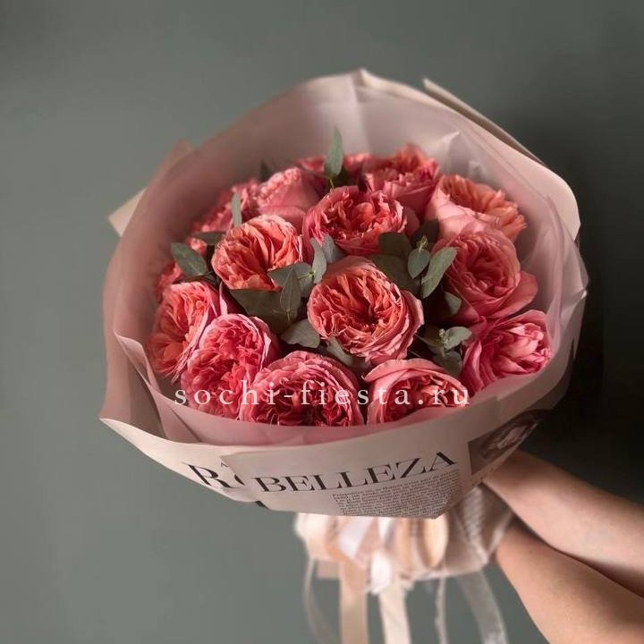 15 Пинк экспрешен в Бийске