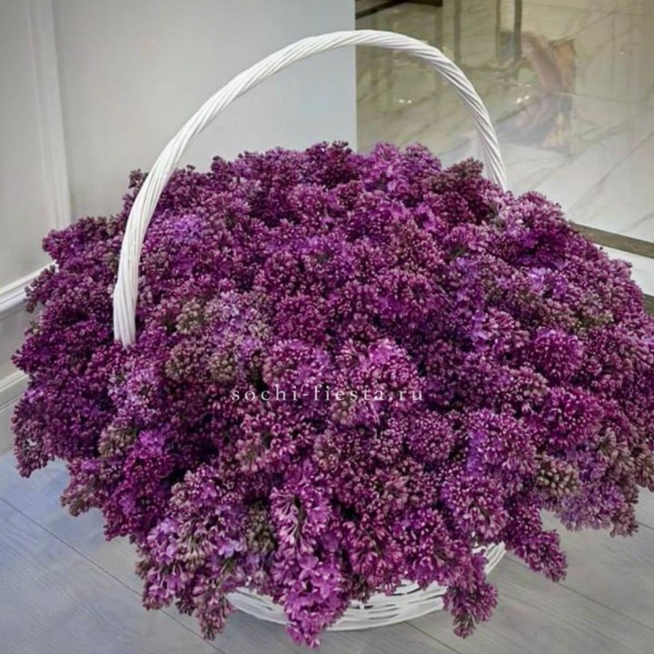 Корзина сирени в Бийске