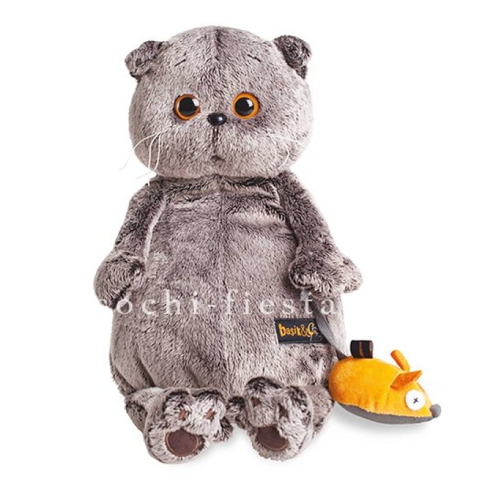 Кот Басик с мышкой в Бийске