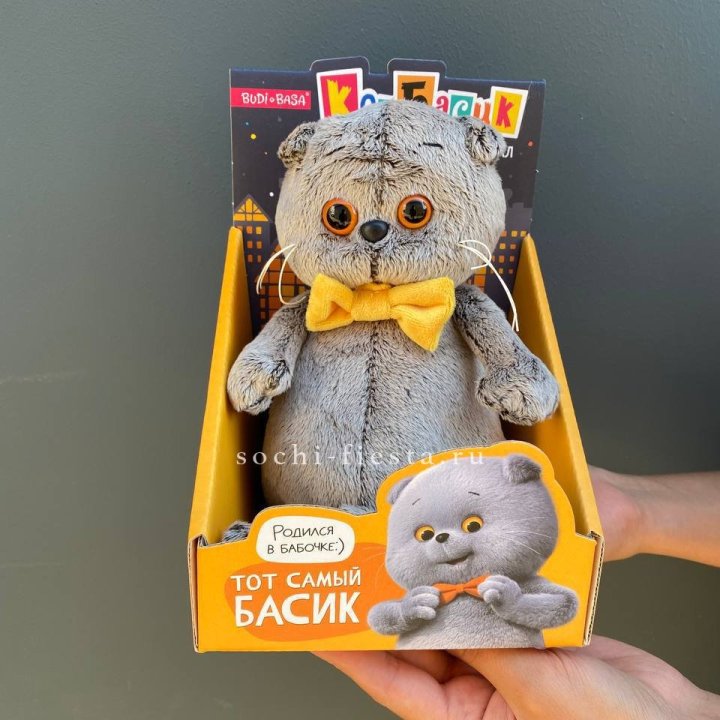 Кот Басик с бабочкой в Бийске