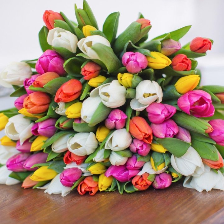 79 тюльпанов "Рандом" в Бийске