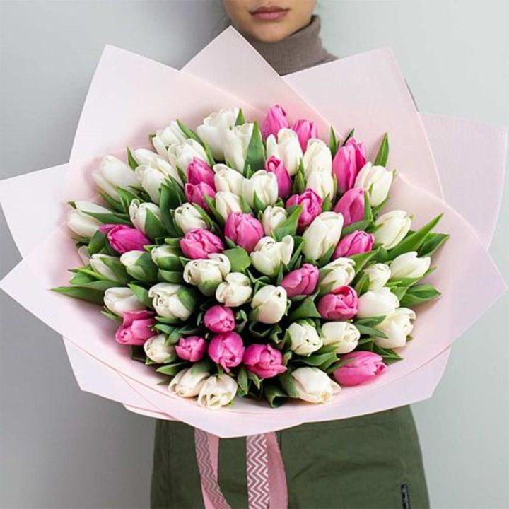 61 бело-розовый тюльпан в Бийске
