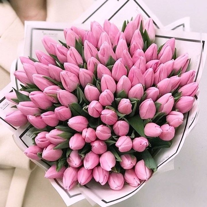 101 розовый тюльпан в белом в Бийске