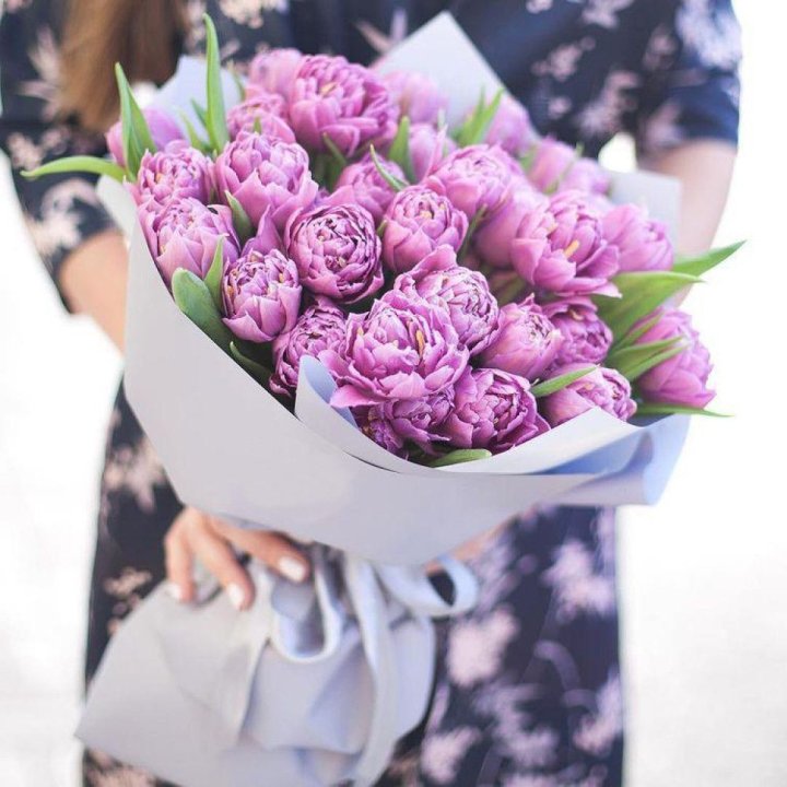 Тюльпаны "Пионс" в Бийске