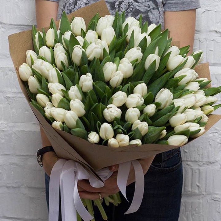 101 тюльпан сноу в Бийске