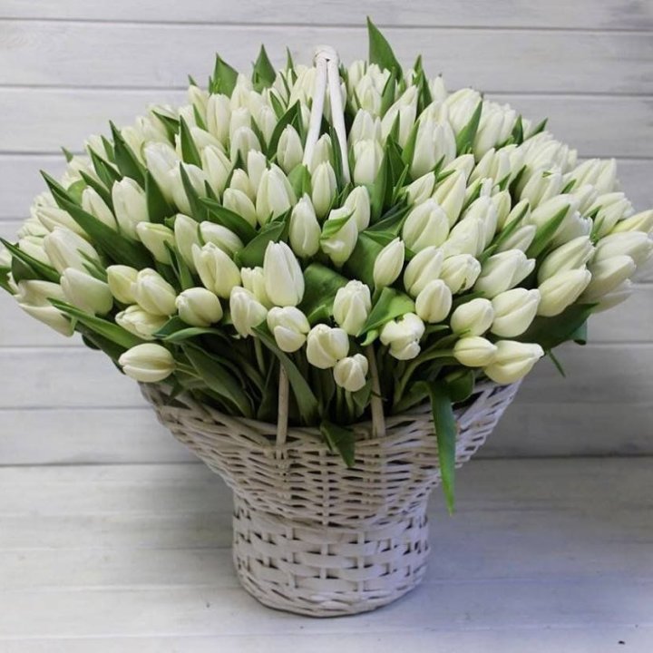 Корзина из 151 тюльпана в Бийске