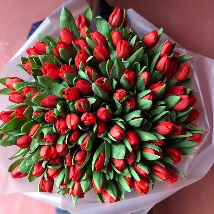 101 красный тюльпан в Бийске