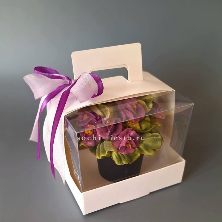  Зефир "Фиалка" в Бийске